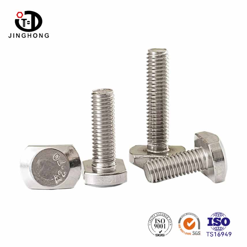 Stainless Steel T Shaped Solid Bolt